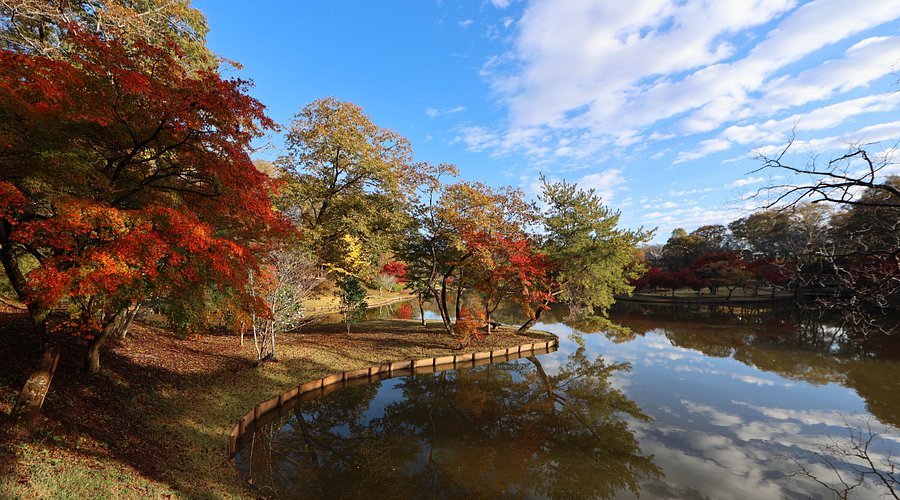🏺 가사마 공예의 언덕 (카사마 코게이노오카) 이미지 5